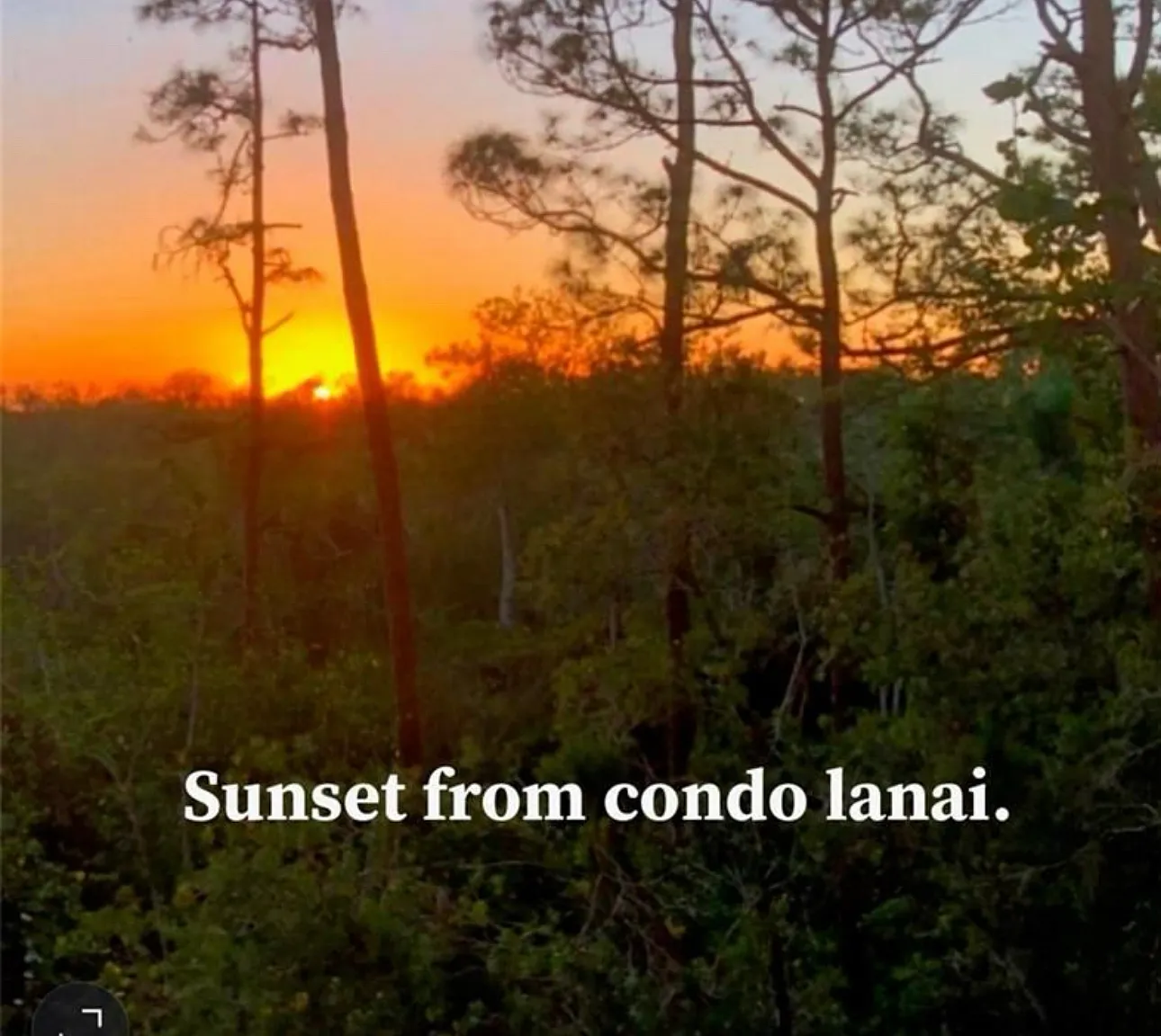 270 Naples Cove Dr — Photo 2
