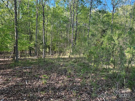 5th image of 6904 Shady Oak Ln