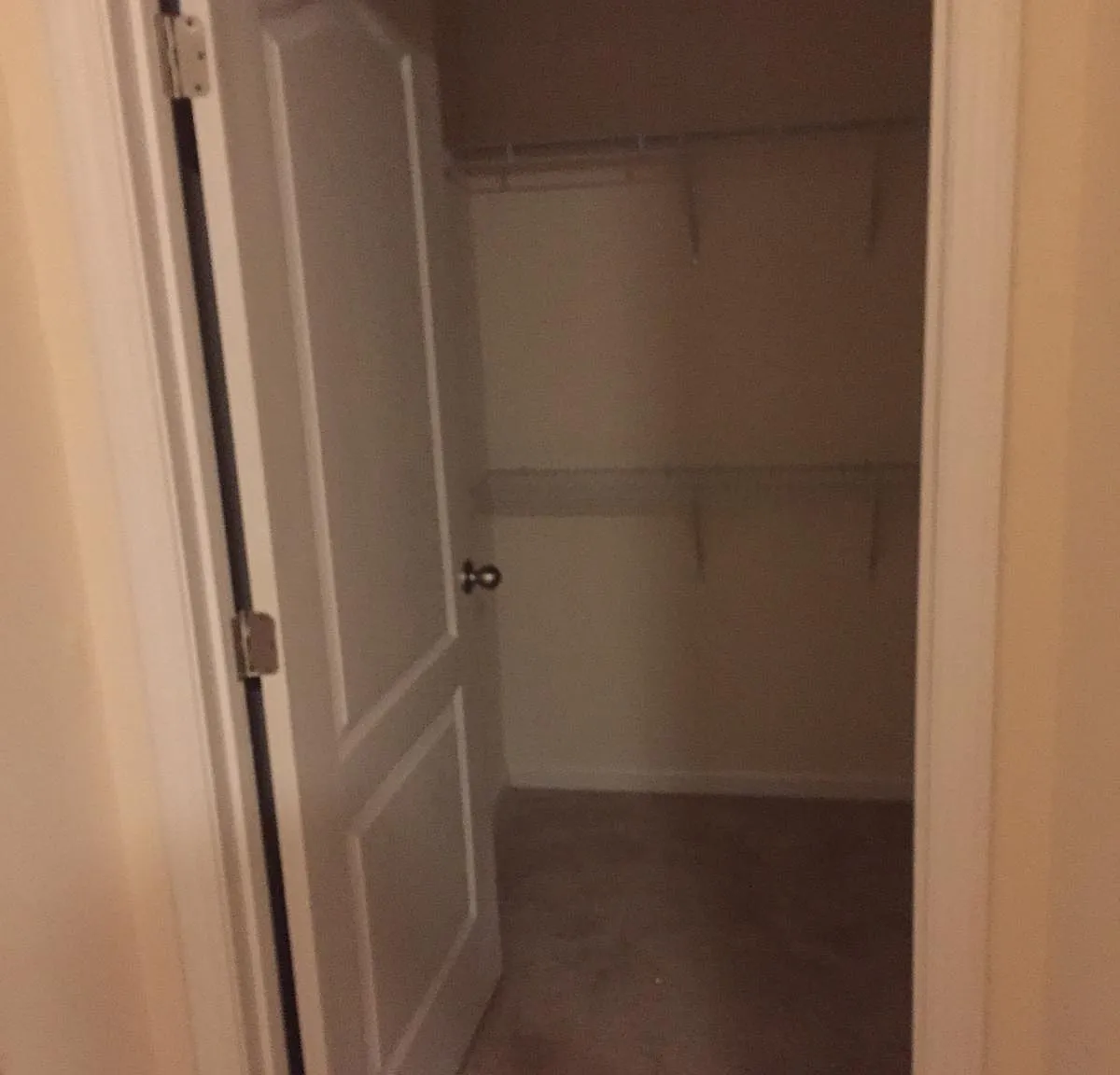 Key Lime 4958 #206 - 206 — Photo 2