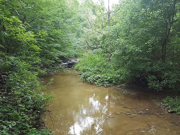 5th image of 20 Camp Branch Trl