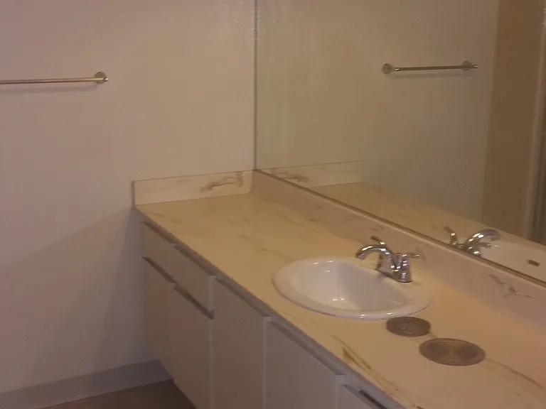 master bathroom sink counter