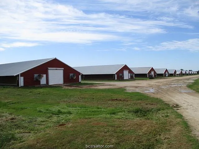 16972 Highway 79 W photo 1