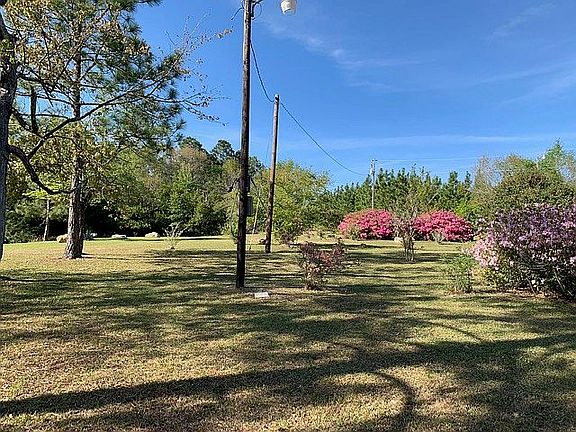 Greenery and Azalea's