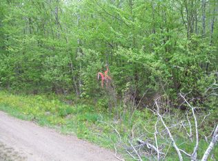 Tbd Vinegar Hl, Springfield, ME 04487