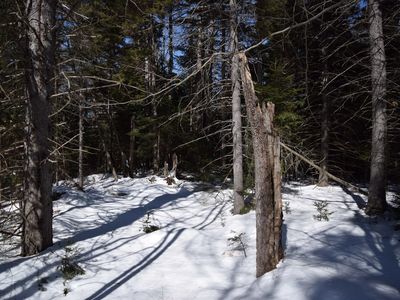 Lot 141 Presidential Drive, Washington, NH, 03280