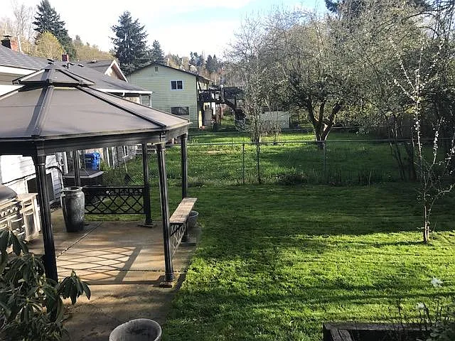 Another picture of the backyard