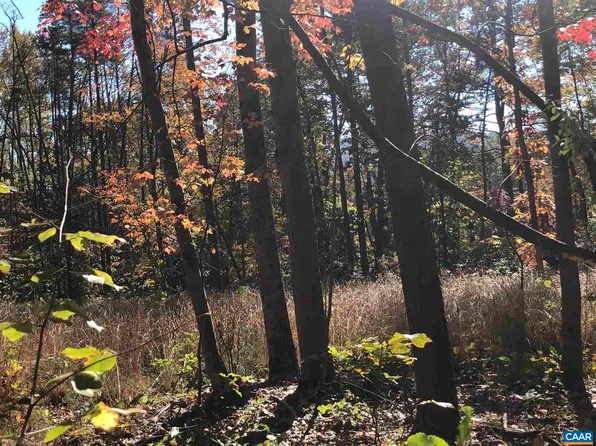LOT Broad Axe Rd #B, Charlottesville, VA 22903