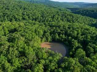 3 Chimney Field Rd, Winslow, AR 72959