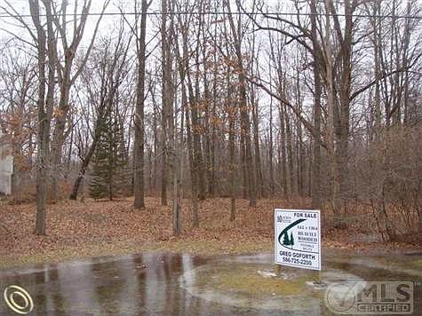 DSC01481 (Small).JPG