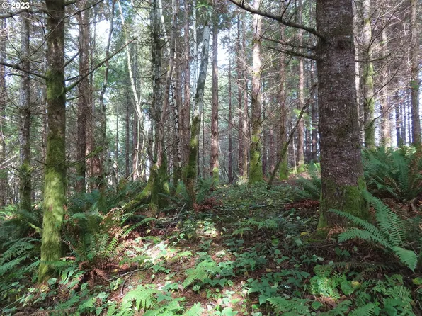 State Route 101 #1, South Bend, WA 98586