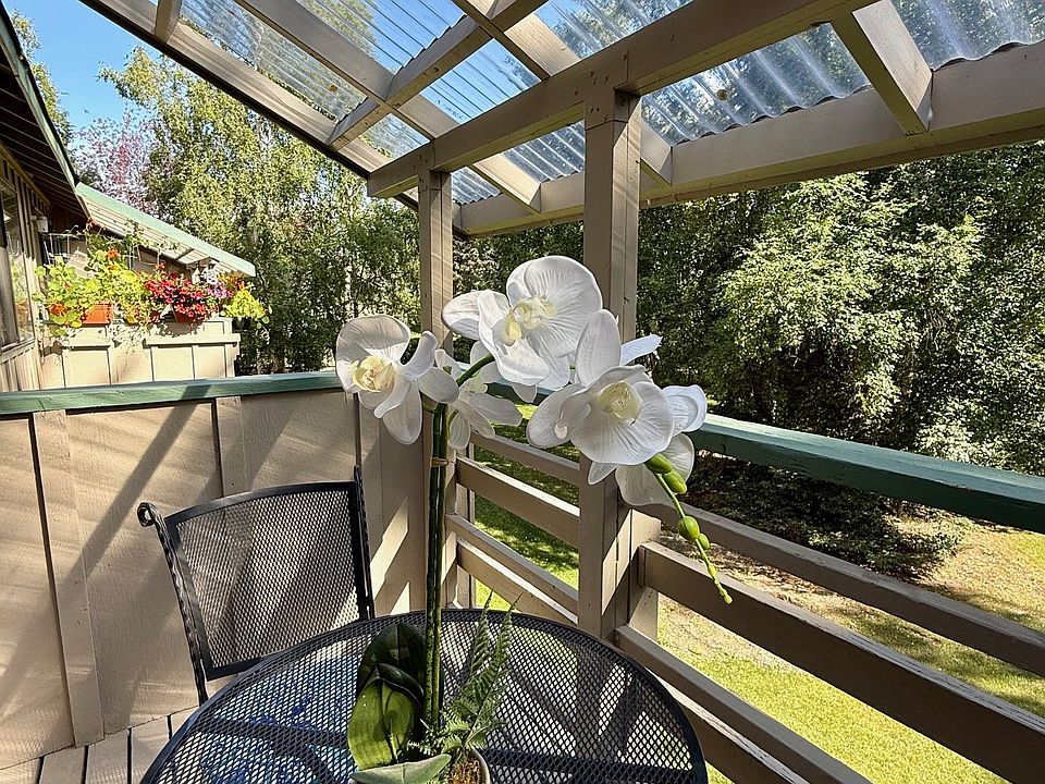 View from patio
