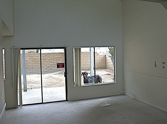 Living Room View to yard