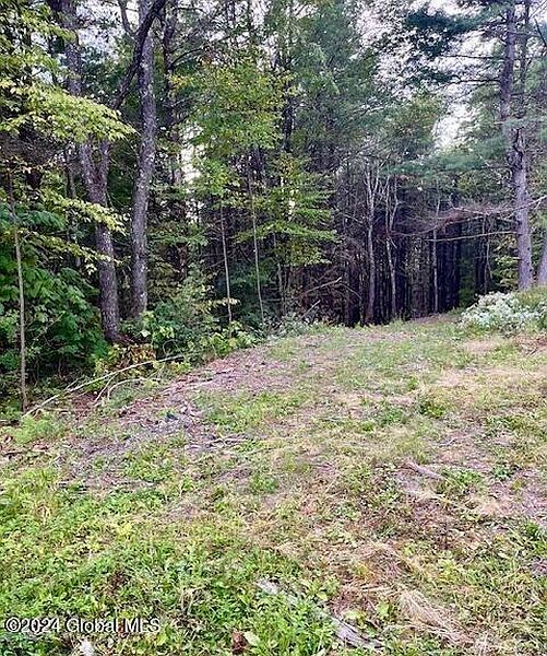 2nd image of L67 Old Ghost Road Lot 6