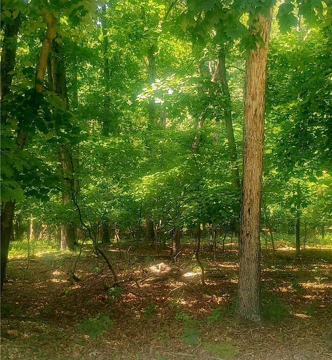 1st image of 118 Veronica Ln
