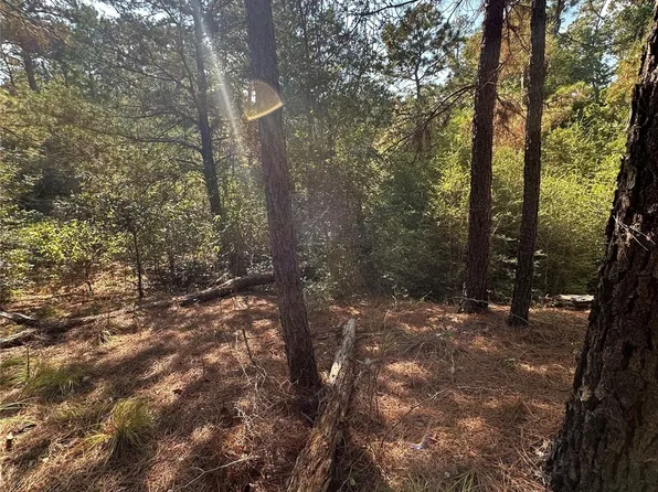 0 Oak Ct, Bastrop, TX 78602