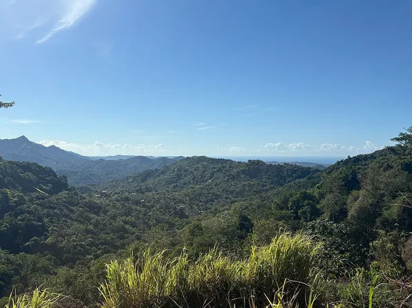 0 Car Yauco #365, Sabana Grande, PR 00637