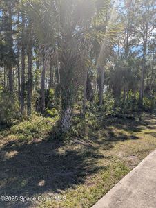 881 Hollahan Rd SE, Palm Bay, FL, 32909