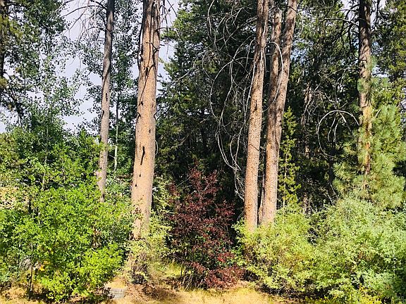 4th image of 1329 Chinquapin Dr