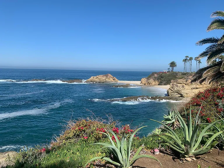 Beautiful beaches and 5 star hotels within 5 minutes.