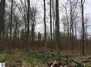 3010 S Blake Ln, Lake Leelanau, MI 49653