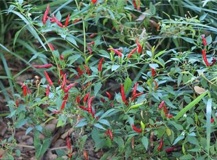 1931 Queen Ave, Sebring, FL 33875