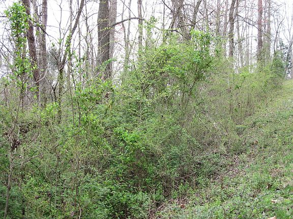 5th image of Big Creek Ln
