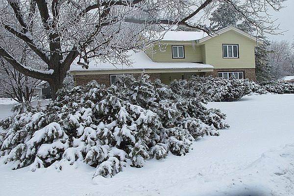 1st image of 2117 Wedgewood Way