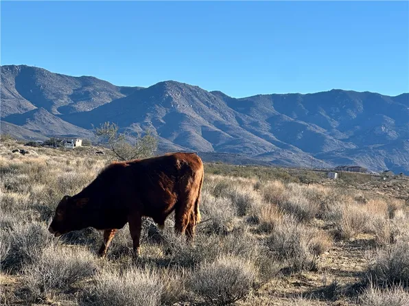 0 N Lost Mine Dr, Chloride, AZ 86431