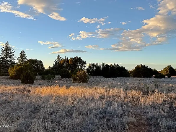 1930 Silver Lake Blvd, Show Low, AZ 85901