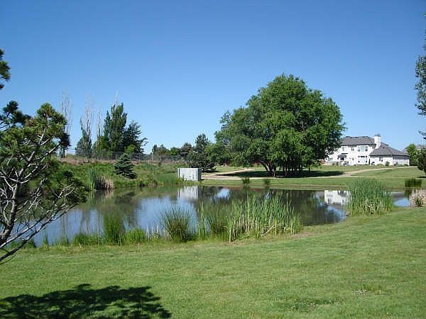 back yard pond full of basszillas