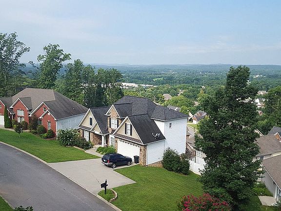 View from driveway tree