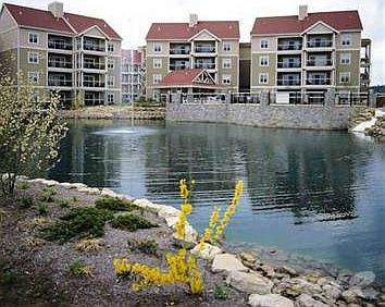 Wyndham Branson