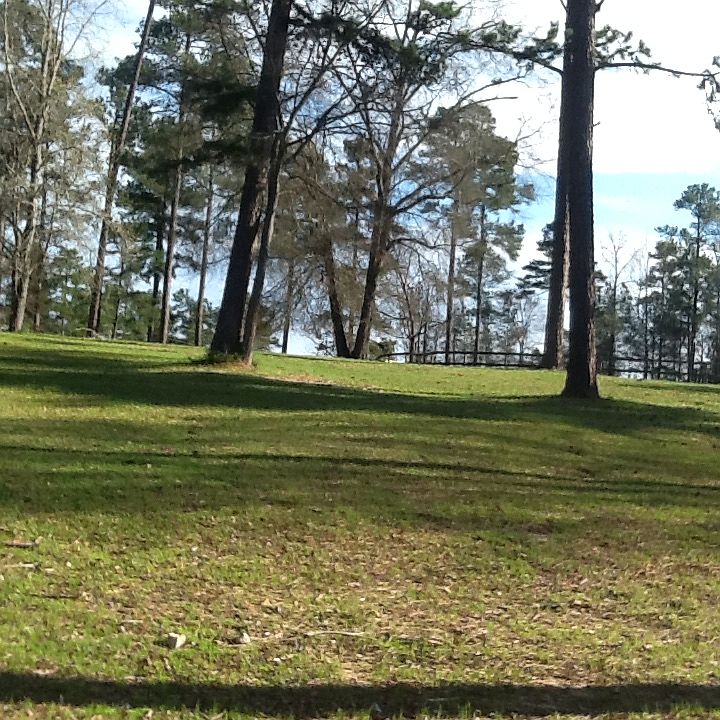  Beautiful, flat land