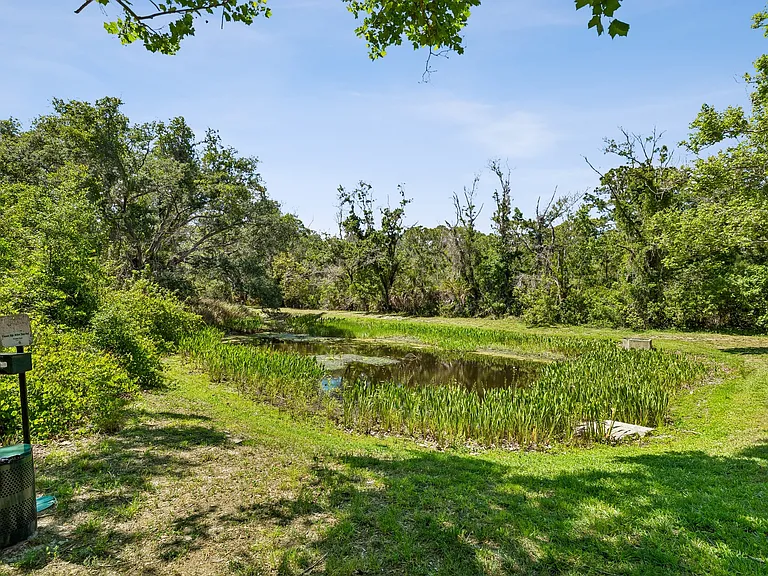 The Preserve at Westchase — Photo 35