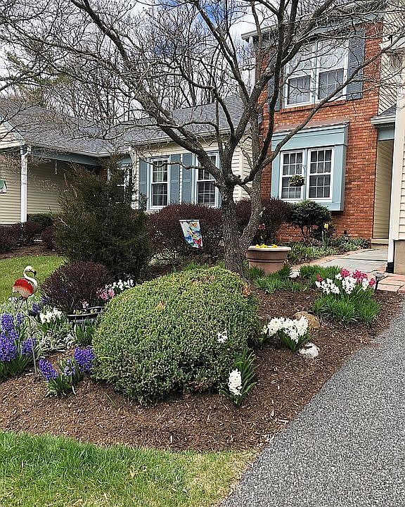 Flowers Bloom Every Year!