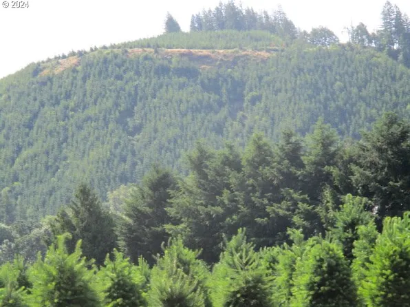 0 Thomas Creek Dr, Scio, OR 97374