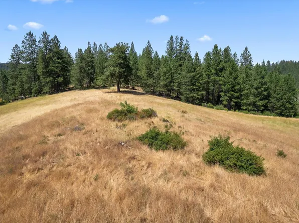 5724 S Saltese Lake Rd, Greenacres, WA 99016