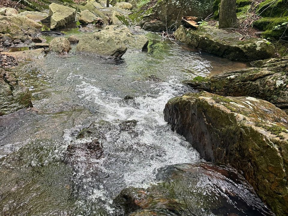 1st image of 9919 Old 81 Loop