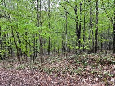 N Harborview Dr Lot 9-11, Munising, MI, 49862