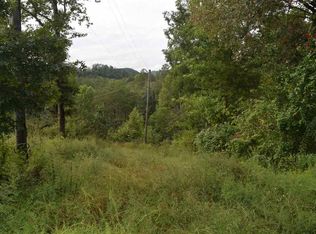 1441 Clabo Hollow Rd, Sevierville, TN 37876