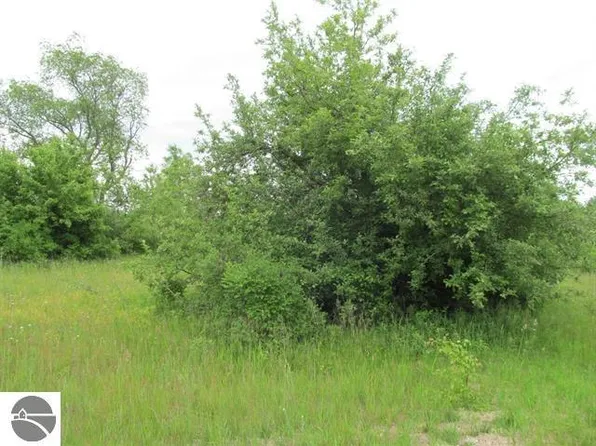 Mark Ln, Cadillac, MI 49601