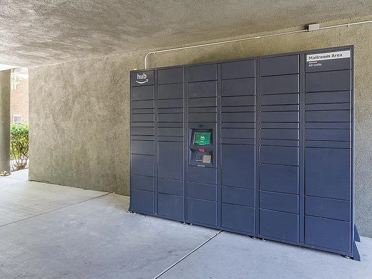 Do you Love Amazon? Keep it Safe in the Hub