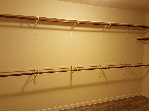 2847 Silver Tree 3_03022016