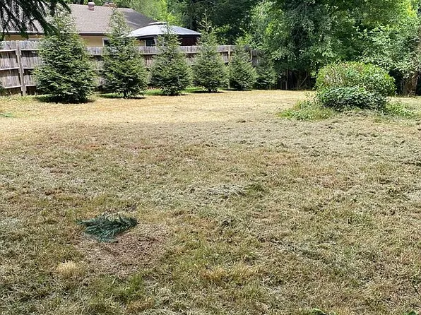 158 Aurora Dr, Asheville, NC 28805