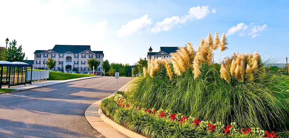Belmont Landing Apartments