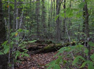 196 Gull Rock Bay Rd, Old Forge, NY 13420