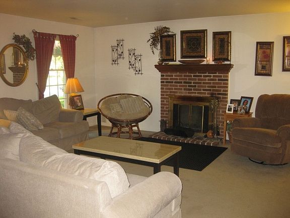 Wood Burning Fireplace