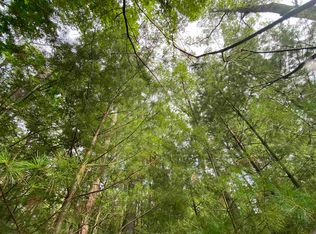 Springbrook Rd, Shawano, WI 54166