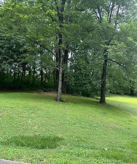 4051 Silk Hope Gum Springs Rd — Photo 19
