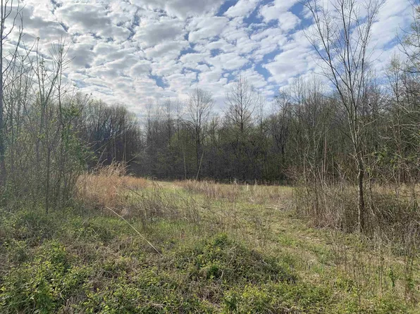 0 Mulberry Rd, Atoka, TN 38004